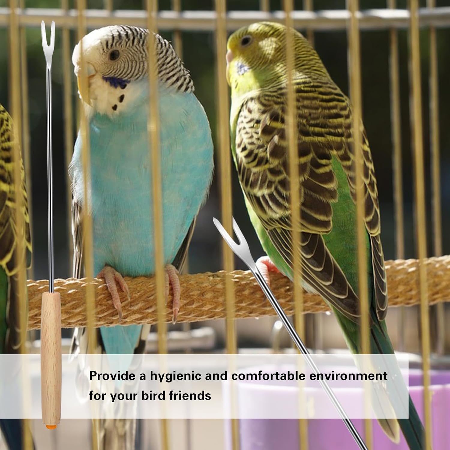 Complete seven piece imported bird cage hygiene kit laid out on a clean surface