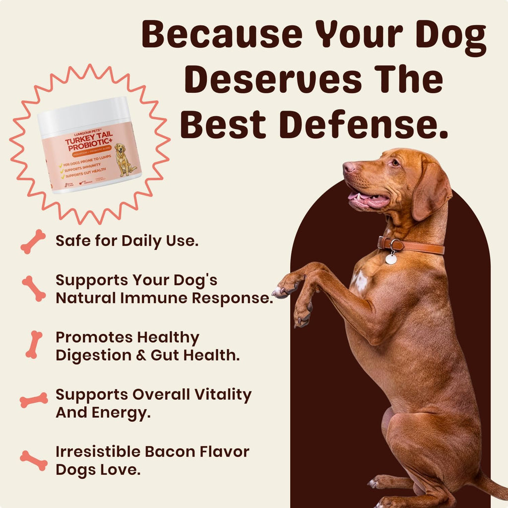 Back label of Lumiqour dog food topper showing premium mushroom ingredients