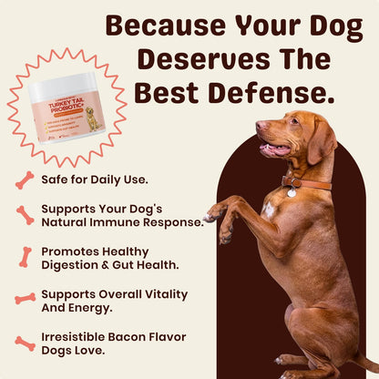 Back label of Lumiqour dog food topper showing premium mushroom ingredients