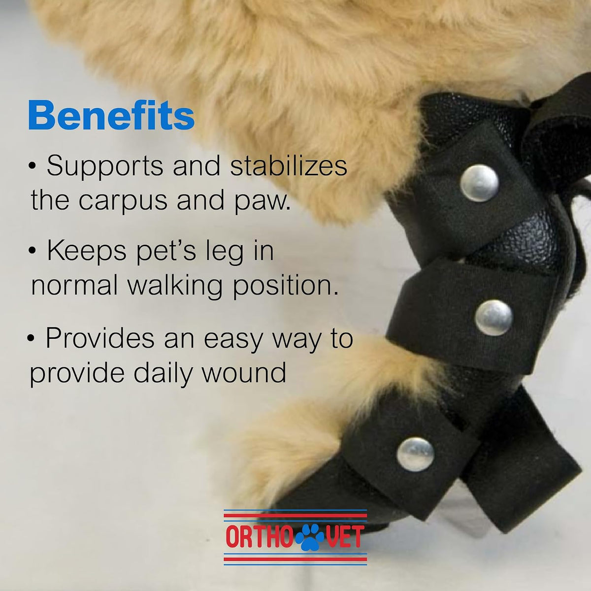 OrthoVet rear splint for rehabilitation and post-surgery