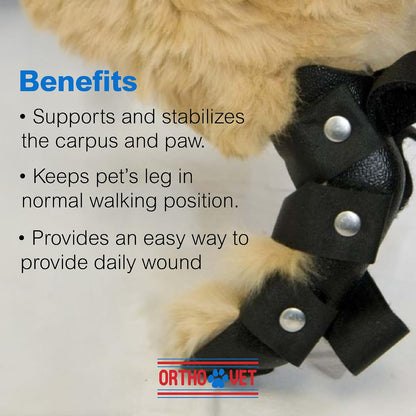 OrthoVet rear splint for rehabilitation and post-surgery