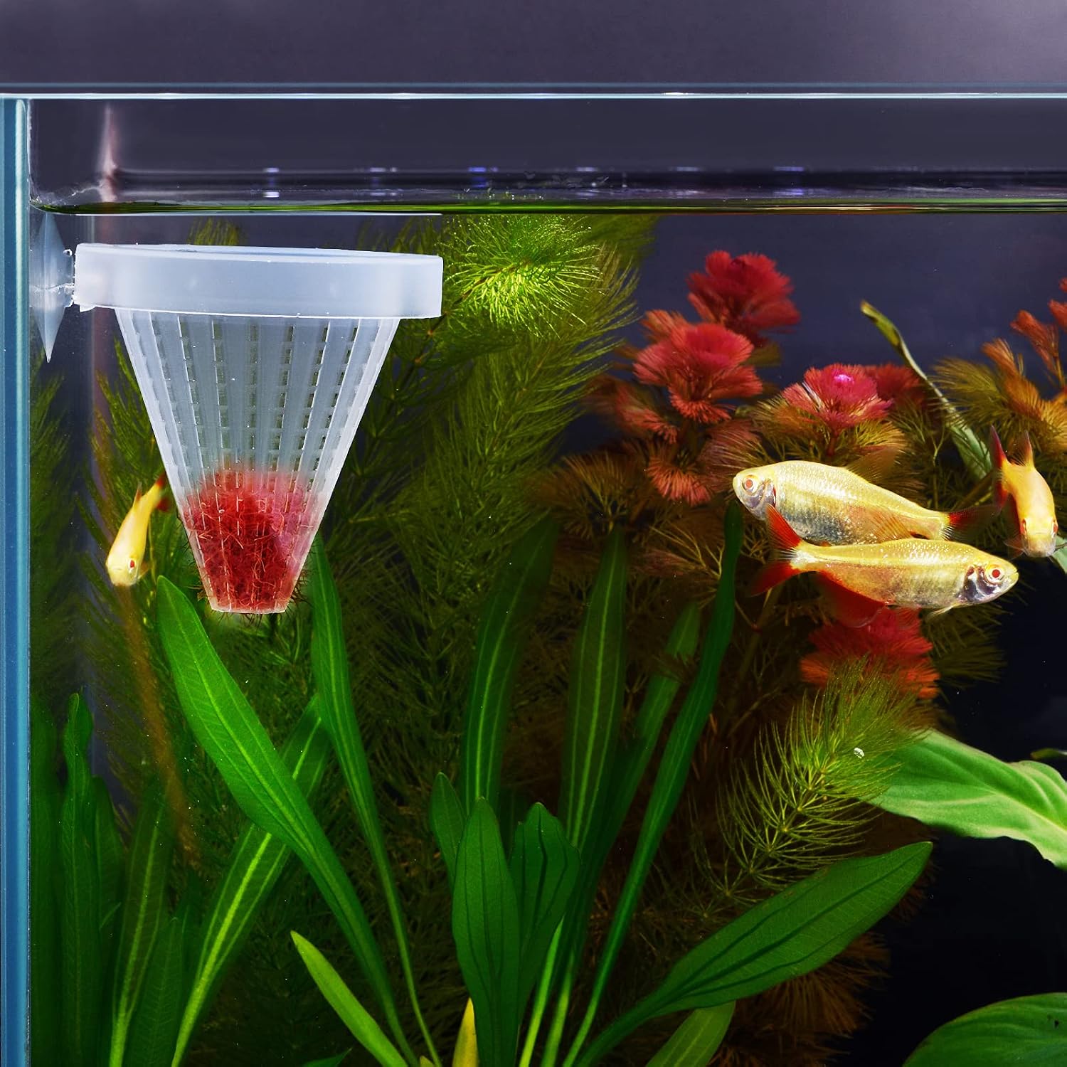 Weaverbird automatic manual alternative live food funnel for aquarium cleanup