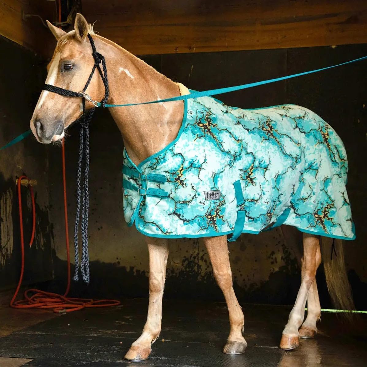 Equestrian toile print pattern on Jeffers horse blanket