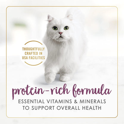 Close up of Purina Fancy Feast wet cat food gravy texture