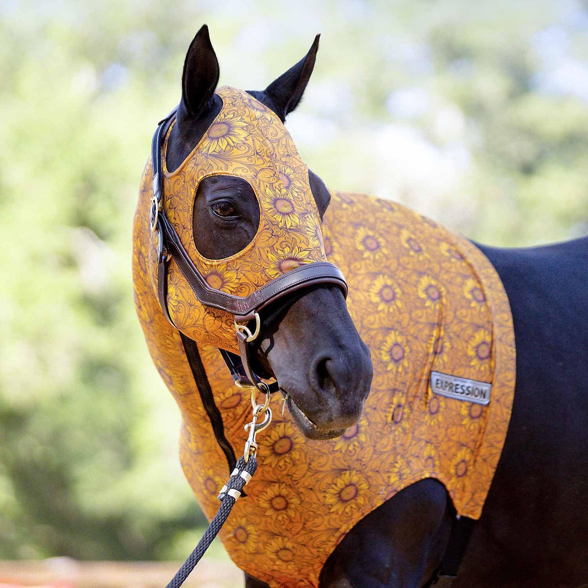 Adjustable girth strap on Jeffers equestrian hood