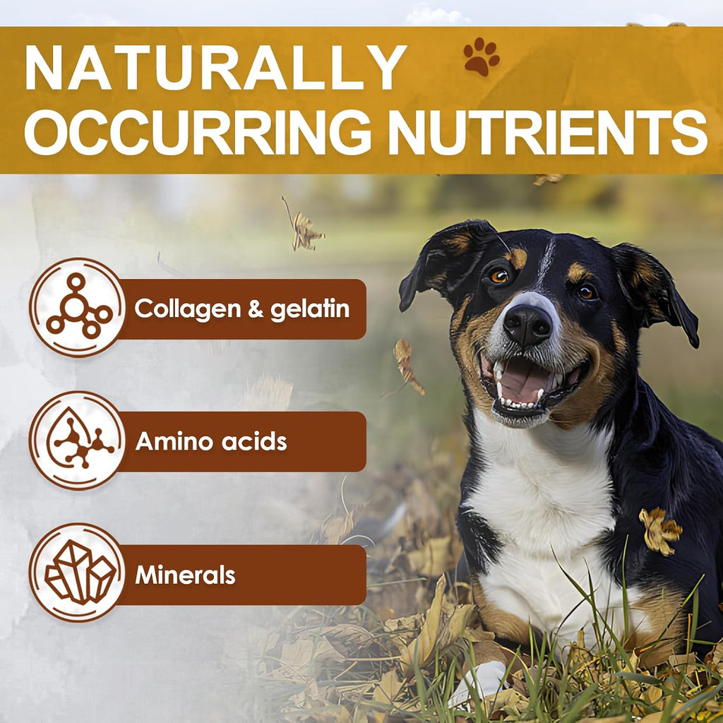Natural gut health and immune support supplement powder for cats and dogs