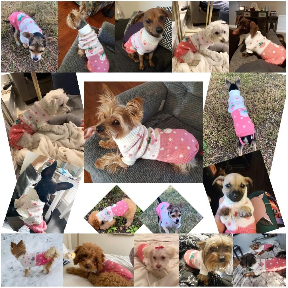 CHBORCHICEN authentic imported winter doggie clothes highlighting the sturdy knit collar.