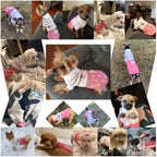 CHBORCHICEN authentic imported winter doggie clothes highlighting the sturdy knit collar.