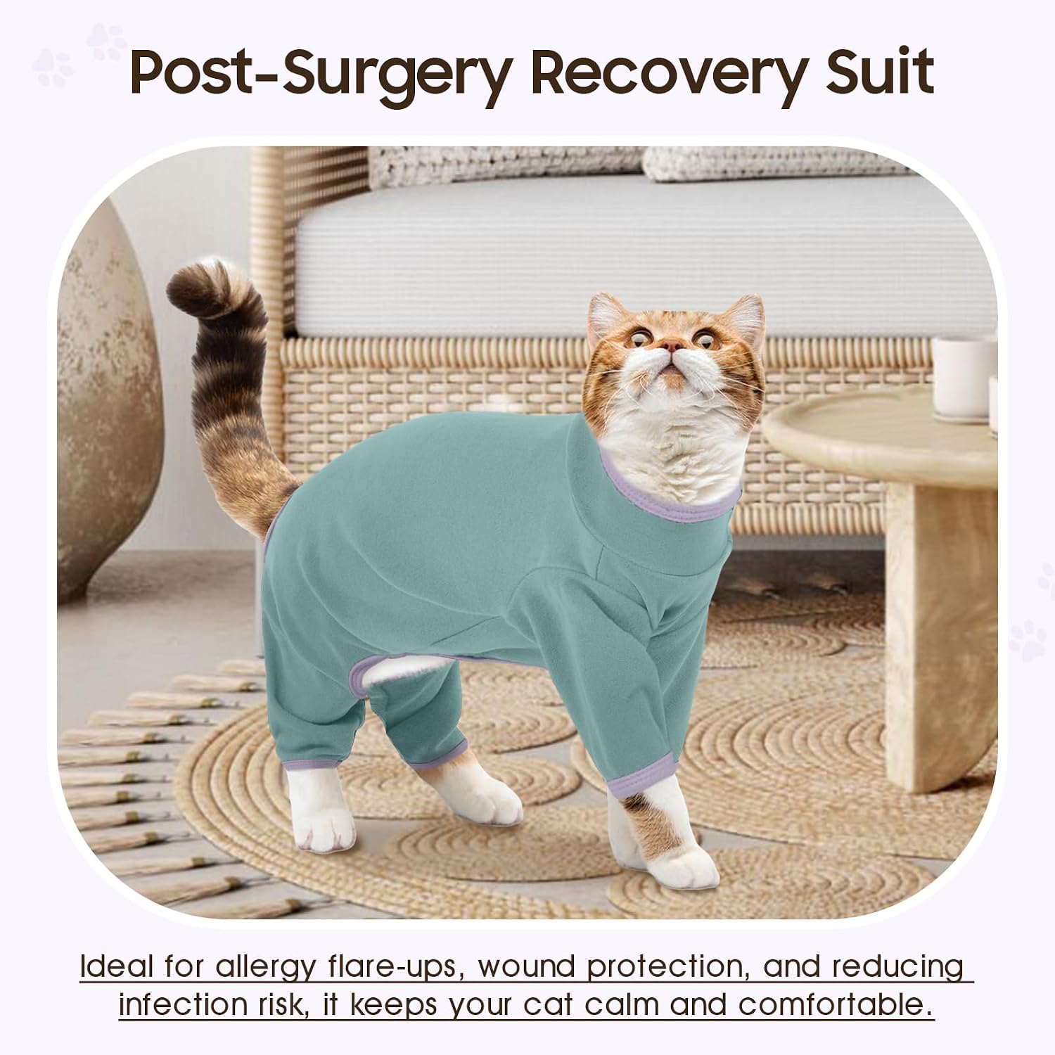 Dentrun cat onesie showing four-leg coverage and open belly design