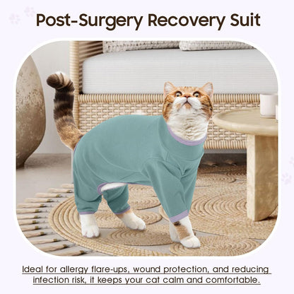 Dentrun cat onesie showing four-leg coverage and open belly design