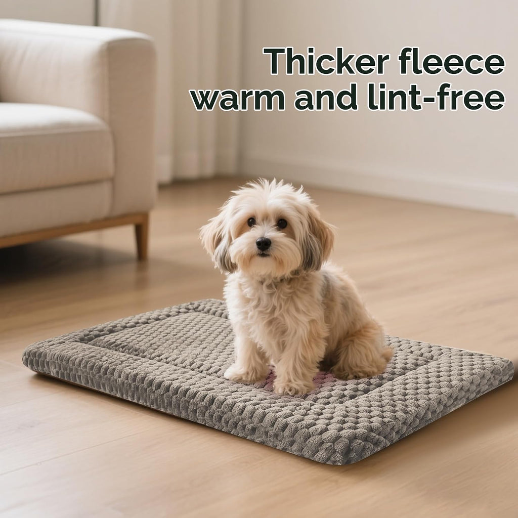Pobopobo pet mat dimensions and size reference