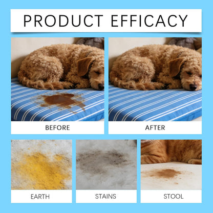 Five ounce bottle of Resolve stain remover showing compact spot treatment design.