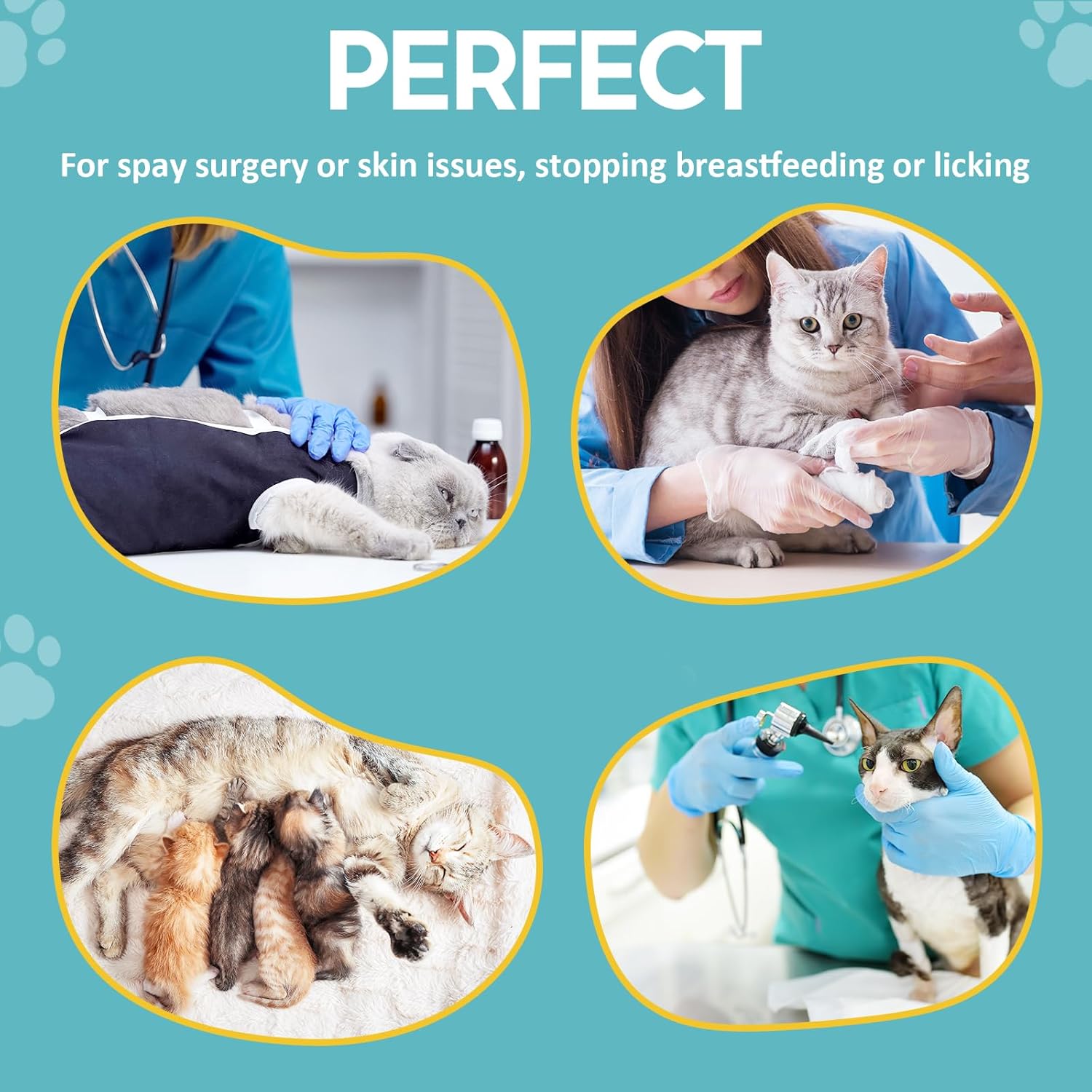 Avont Cat Post-Surgery Onesie back view showing secure fasteners and adjustable drawstring