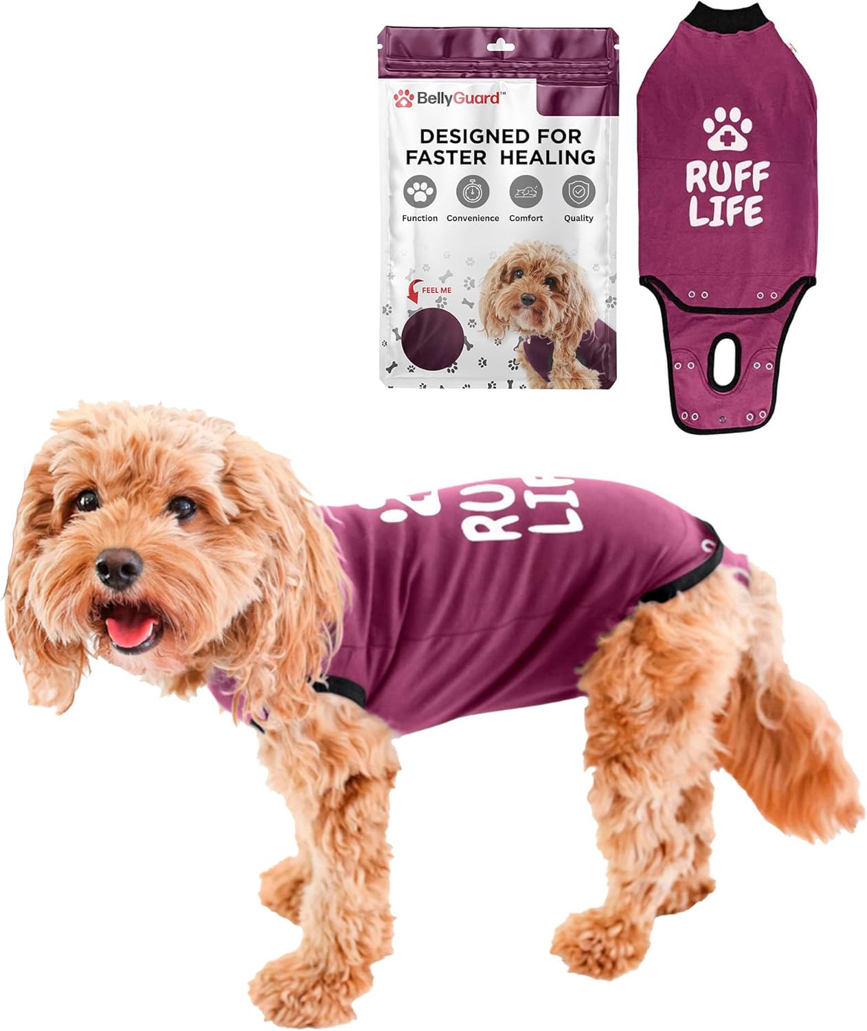 BellyGuard Dog Surgery Recovery Suit, Post-Op Dog Recovery Suit for Female Spay & Male Neuter, Comfy Onesie for Pets, Surgical Body Cover for Canine Healing Support - Image 12