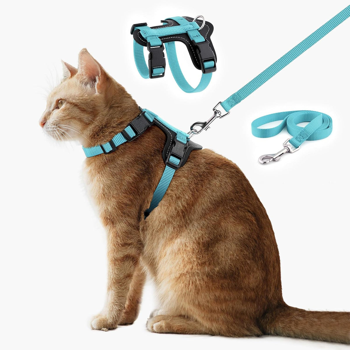 Secure metal D ring attachment on cat walking vest