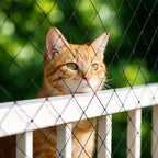 Detailed view of cat netting secured with cable ties