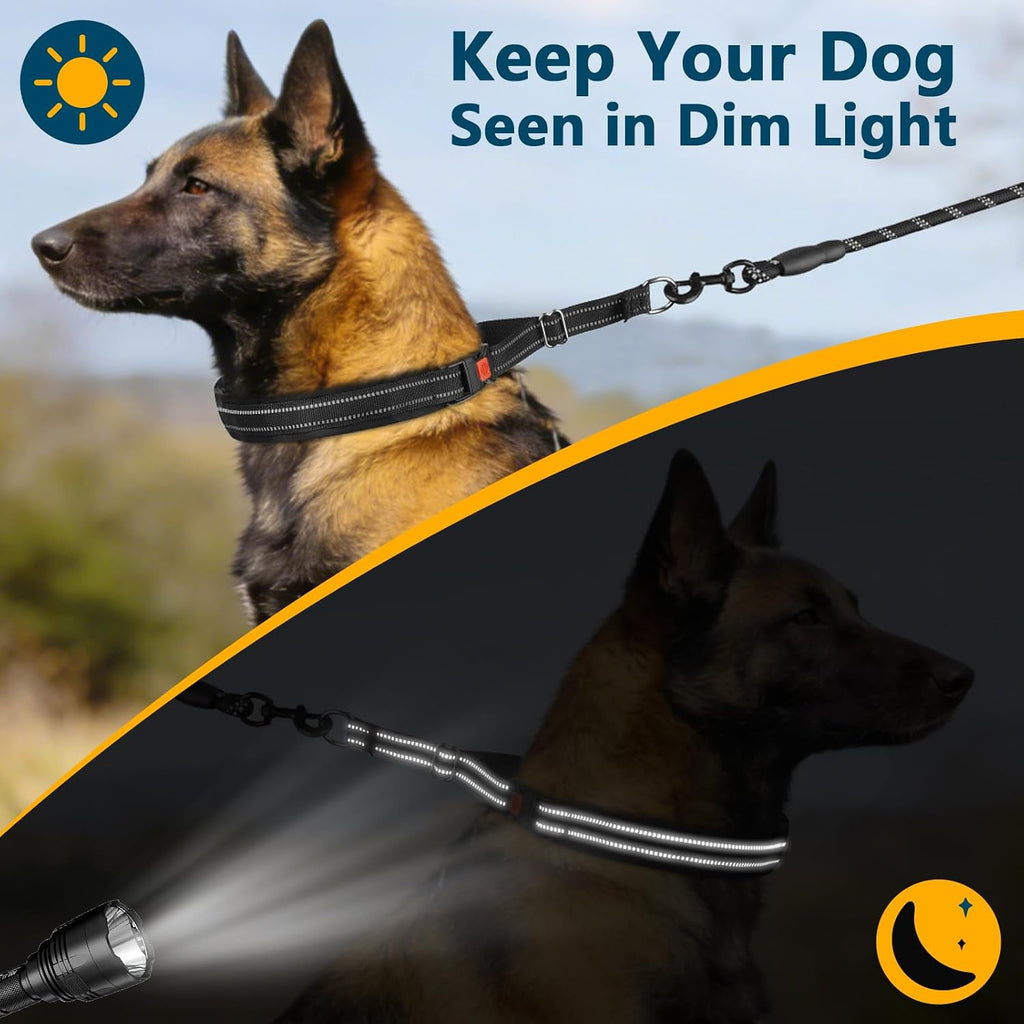 Side profile of sturdy metal links on dog collar