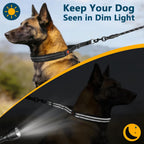 Side profile of sturdy metal links on dog collar