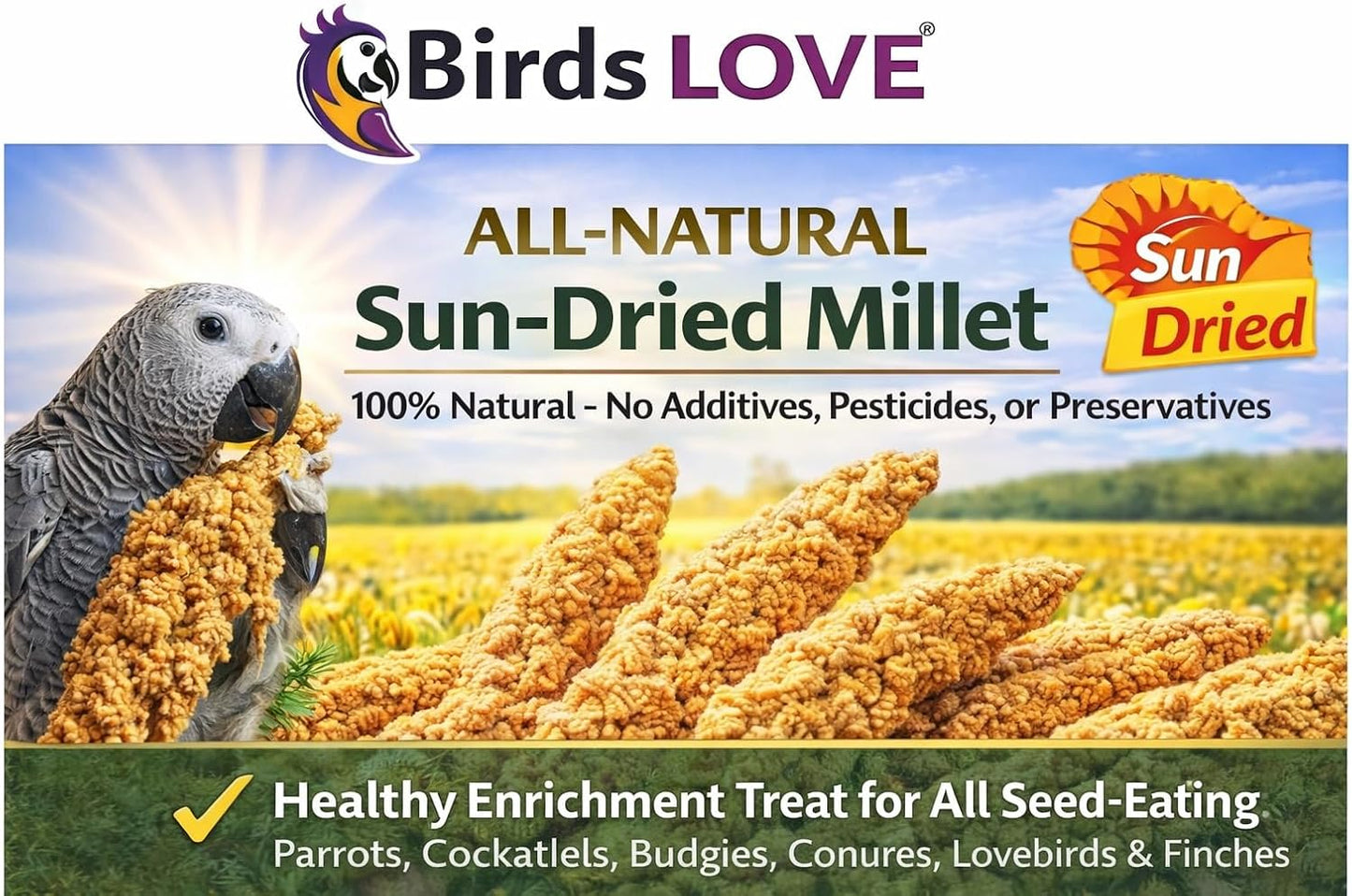 Healthy foraging snack for pet birds in a box