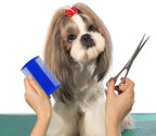 Molain, 12 Pieces Flea Lice Combs Cat Dog Grooming Comb, Double Side, Plastic, for Pet Owners, Unisex, All Hair Types, White, Green, Light Blue, Dark Blue, Orange, Pink - Image 5