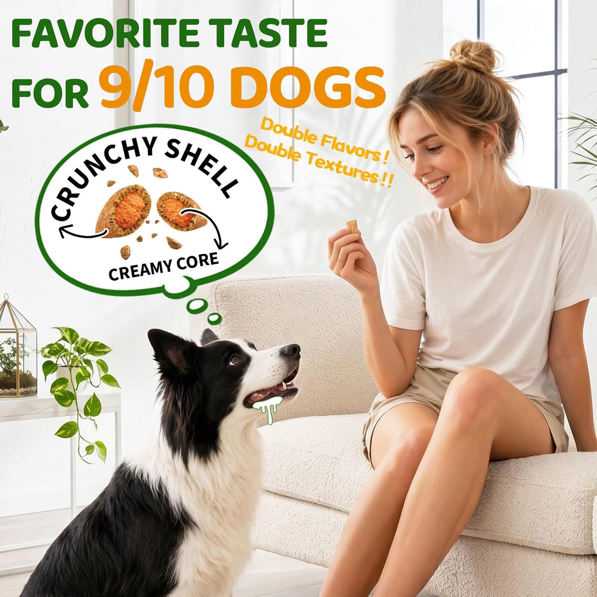 Premium USA imported pet wellness supplements on Rudra Retails.