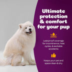 Authentic USA imported premium pet diapers for female dogs