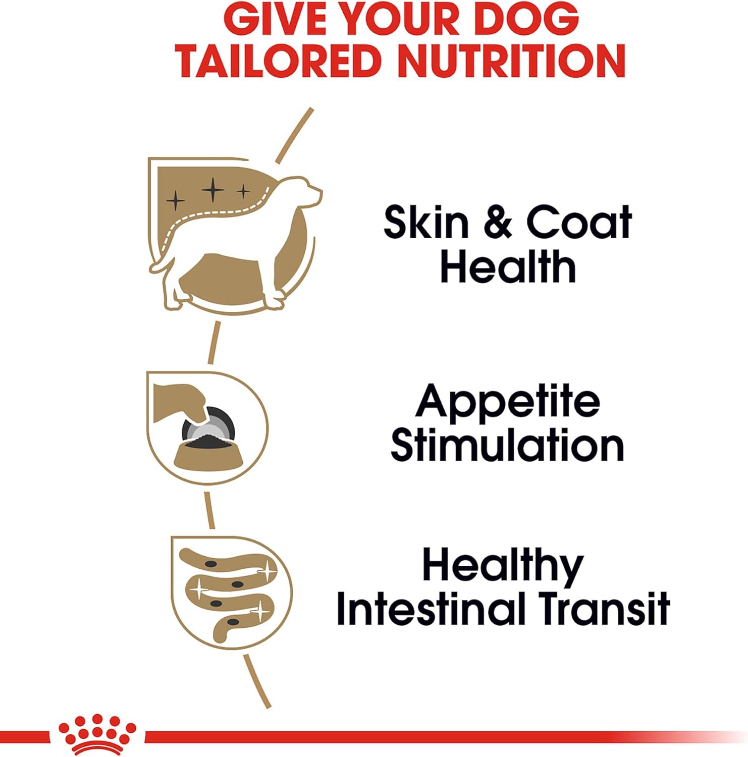 Authentic USA imported Royal Canin premium wet food for small breed dogs.