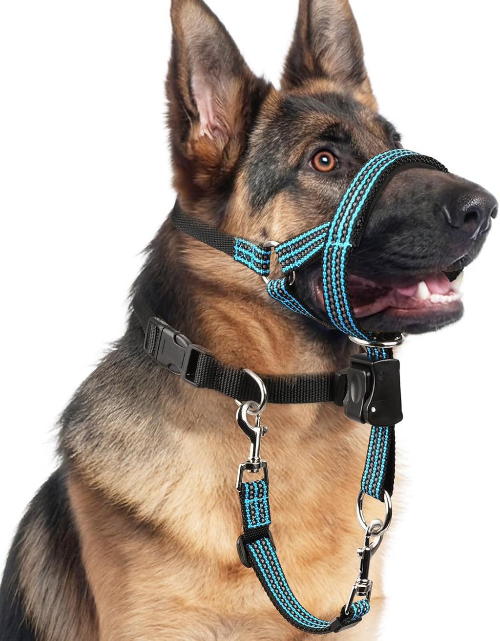 BARKLESS No Pull Dog Head Collar for Gentle Training Walking, Soft Padded Head Halter with Collar Safety Clip, Comfortable Fit Muzzle Leash with Reflective Strap for Medium Large Dog (Blue, L) - Image 11