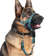 BARKLESS No Pull Dog Head Collar for Gentle Training Walking, Soft Padded Head Halter with Collar Safety Clip, Comfortable Fit Muzzle Leash with Reflective Strap for Medium Large Dog (Blue, L) - Image 11
