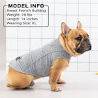 Kyeese dog apparel packaging and product display