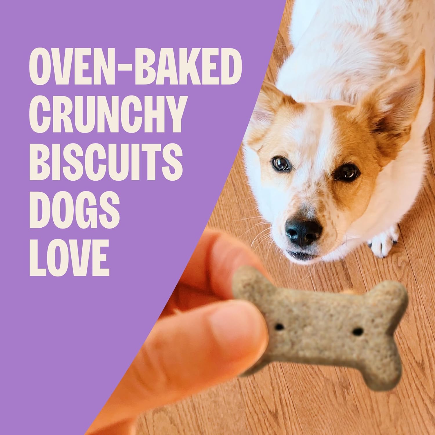 Old Mother Hubbard mini peanut butter dog treats spilled on floor