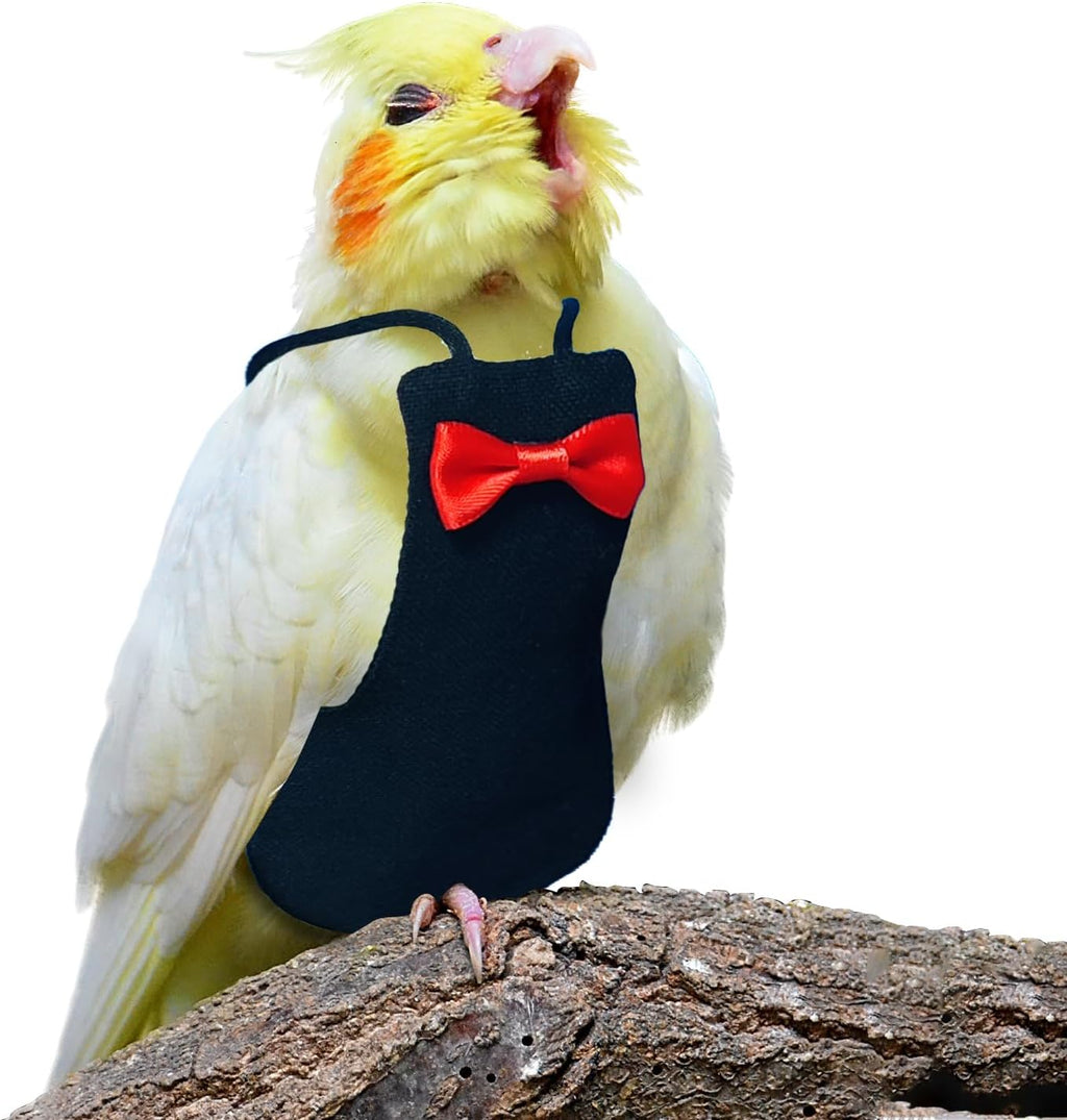Instructions diagram for applying XQIGI reusable bird flight suit