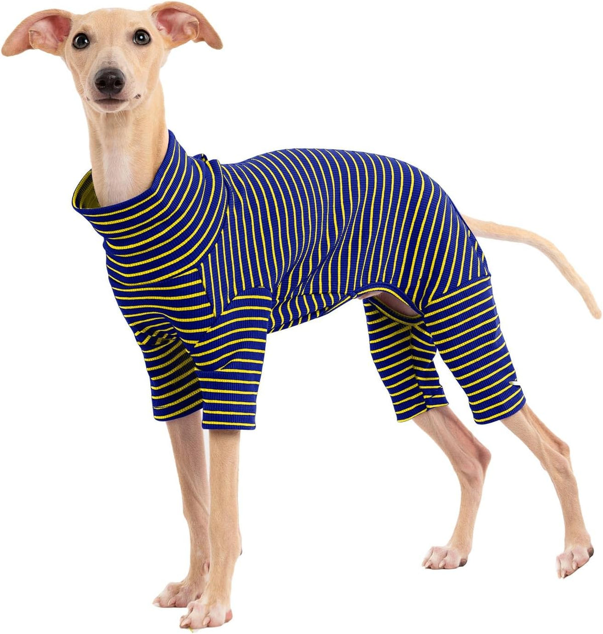 Dog Sweaters for Small Dogs Girls Boys, Striped Pet Sweaters for Fall Winter Dog Clothes, Turtleneck Pullover Knitwear for Small Medium Large Dogs - Image 11