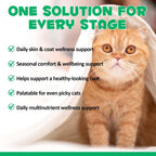 Oimmal pet care supplement bottle showing immune and gut support benefits for all cat breeds