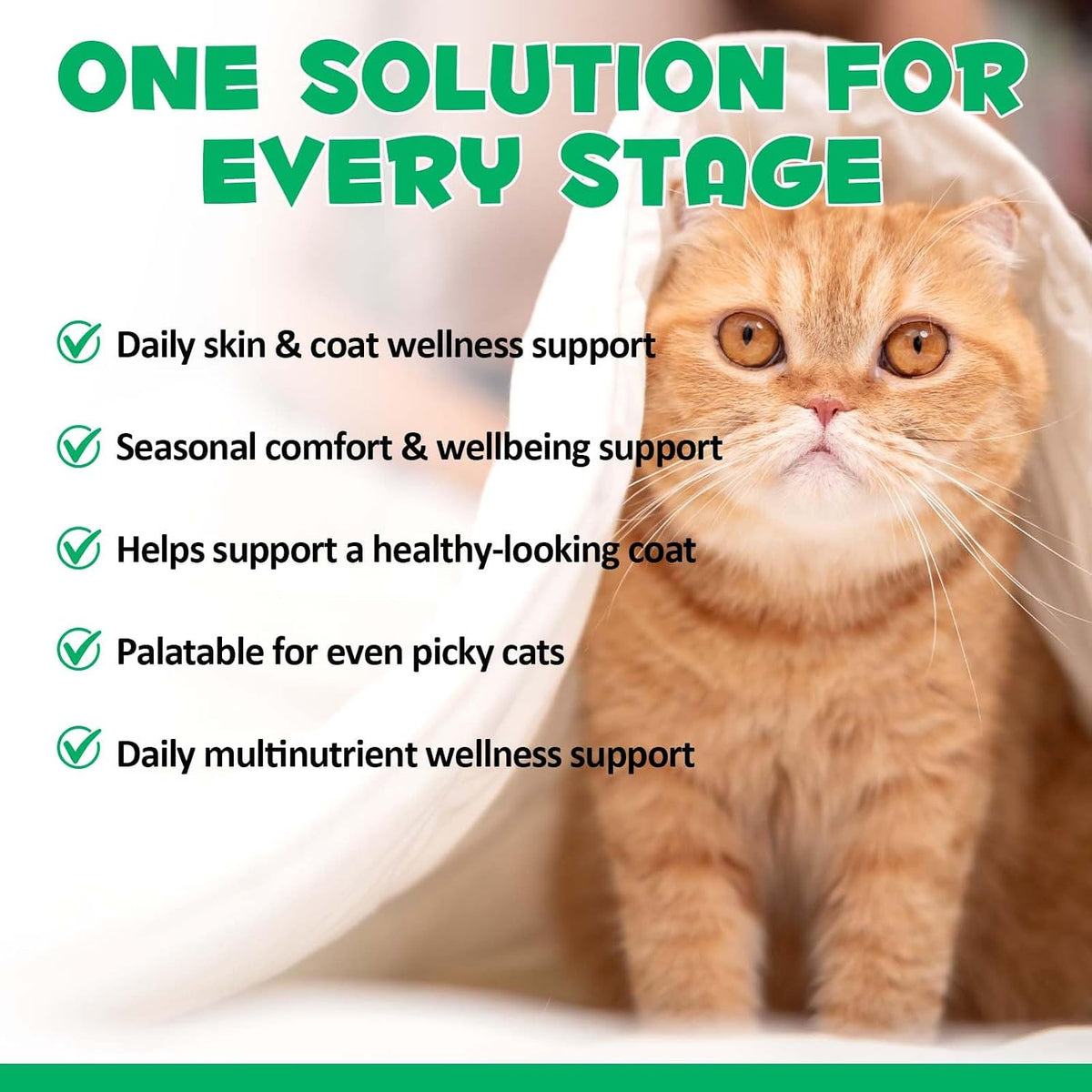 Oimmal pet care supplement bottle showing immune and gut support benefits for all cat breeds