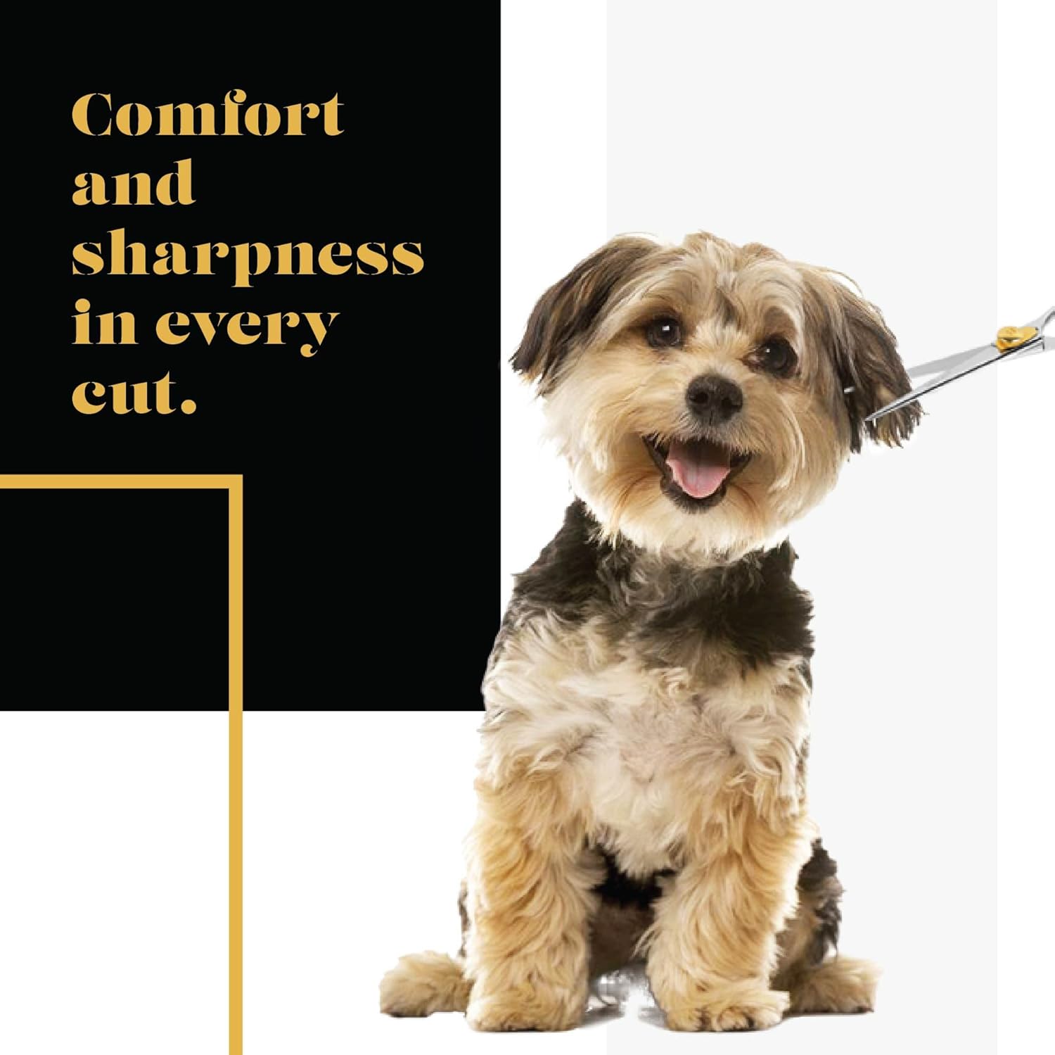 Professional pet grooming shears for dogs and cats