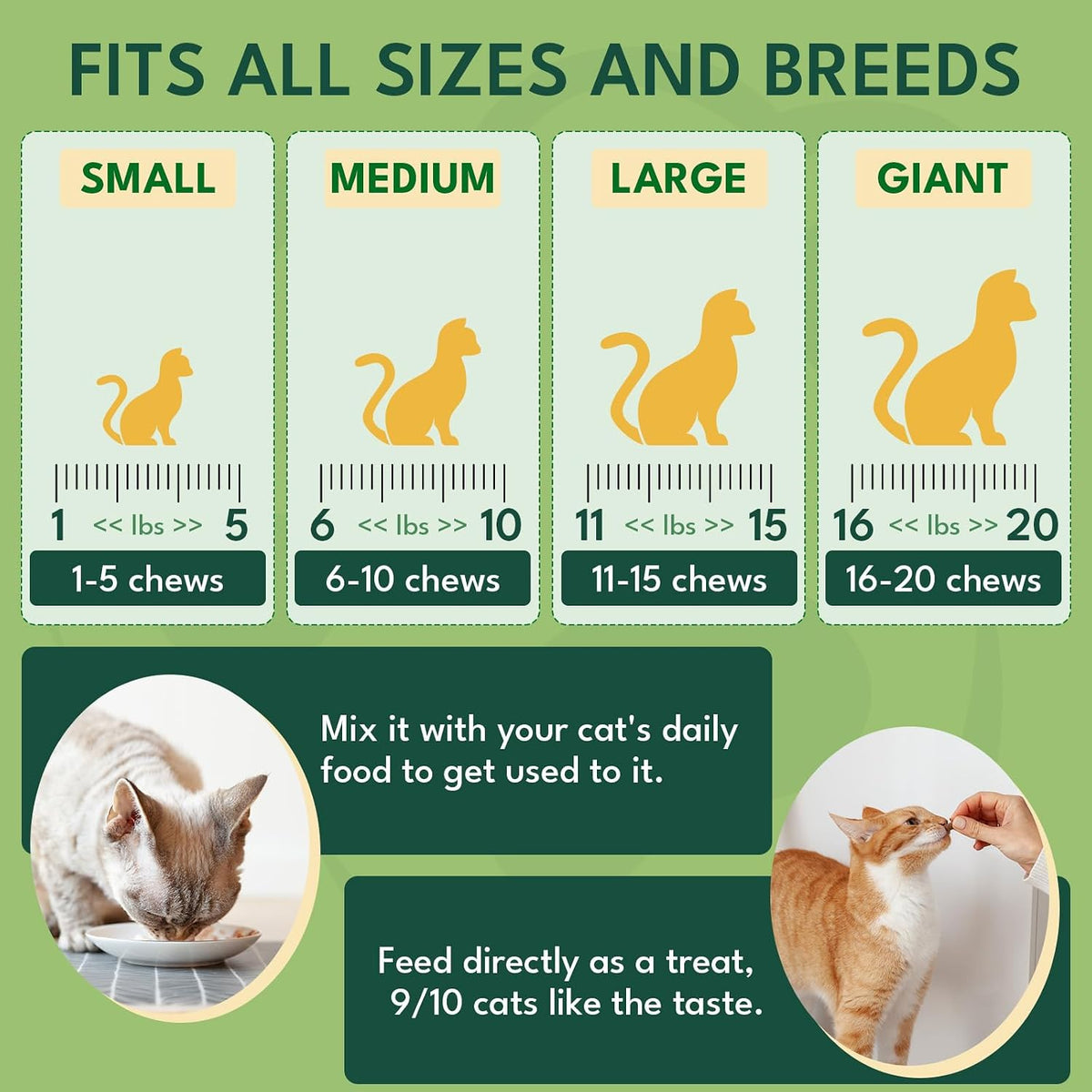 Yotango feline dietary supplement for immune and digestive health perspective angle