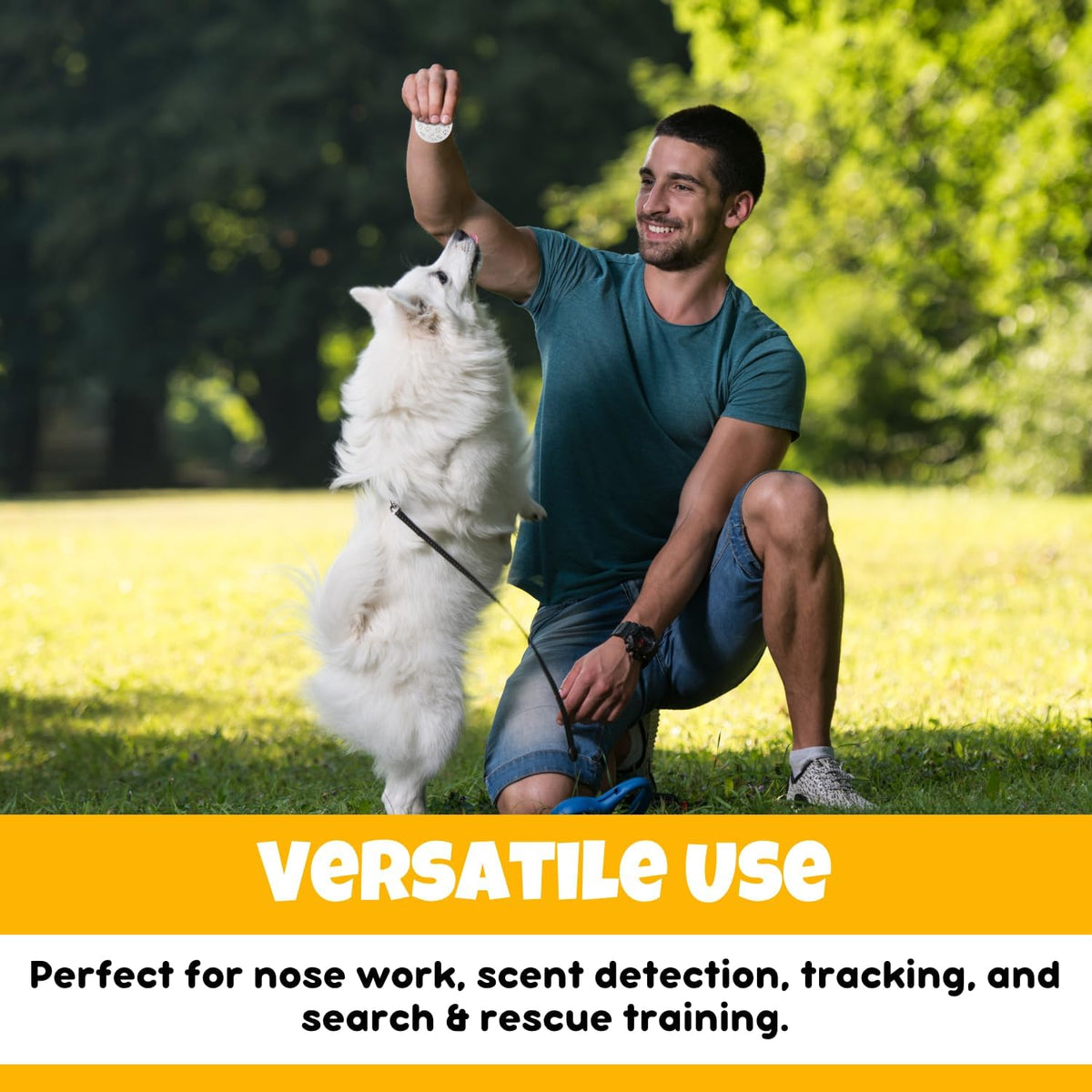 Professional scent work kit for service dogs and search and rescue