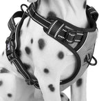 PoyPet No Pull Dog Harness, Reflective Comfortable Vest Harness with Front & Back 2 Leash Attachments and Easy Control Handle Adjustable Soft Padded Pet Vest for Small Medium Large Dogs (Mint Blue,M) - Image 14