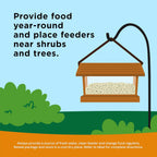 Outdoor wild bird feeding accessories with Kaytee blend