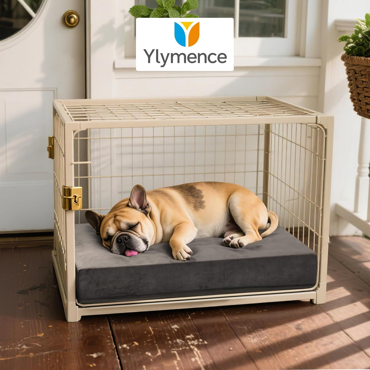 Ylymence dog crate pad showing secure strap attachment