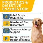 Wontechmi chicken flavored soft chews for dog allergy relief