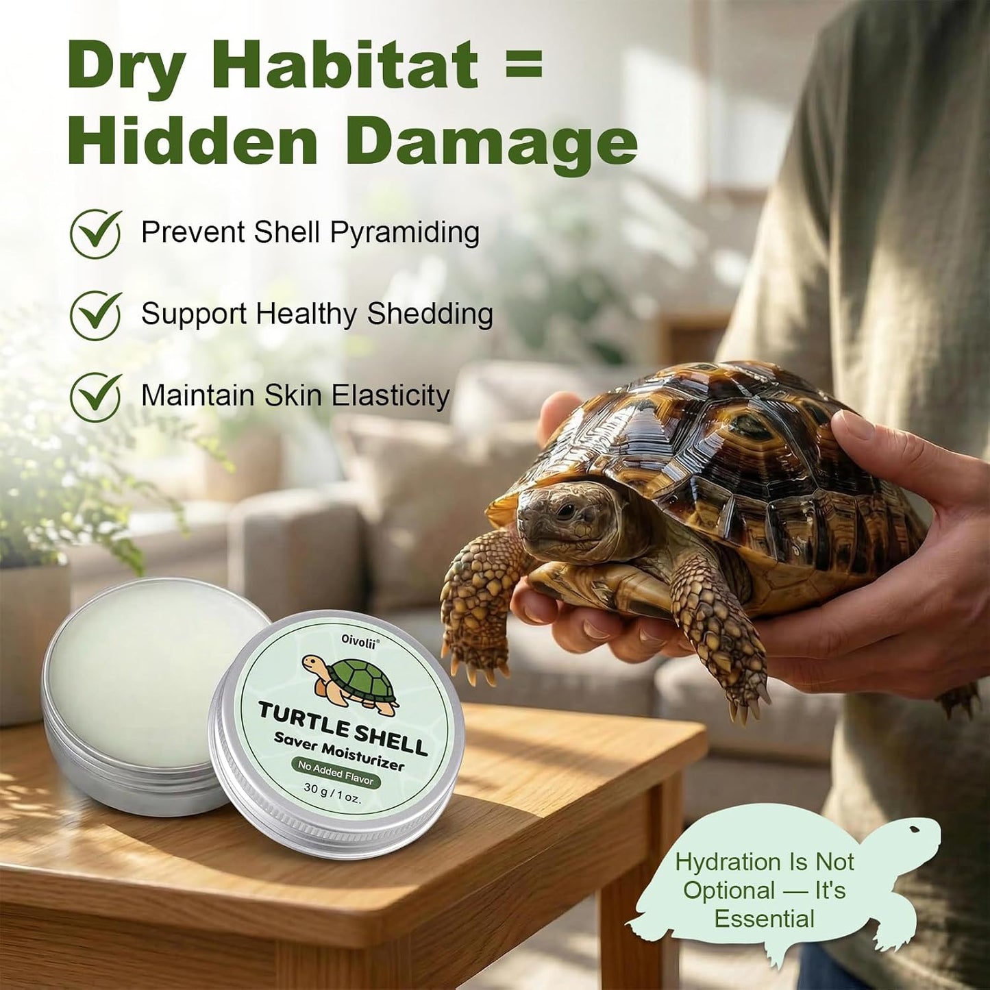 Healthy tortoise with conditioned shell and skin