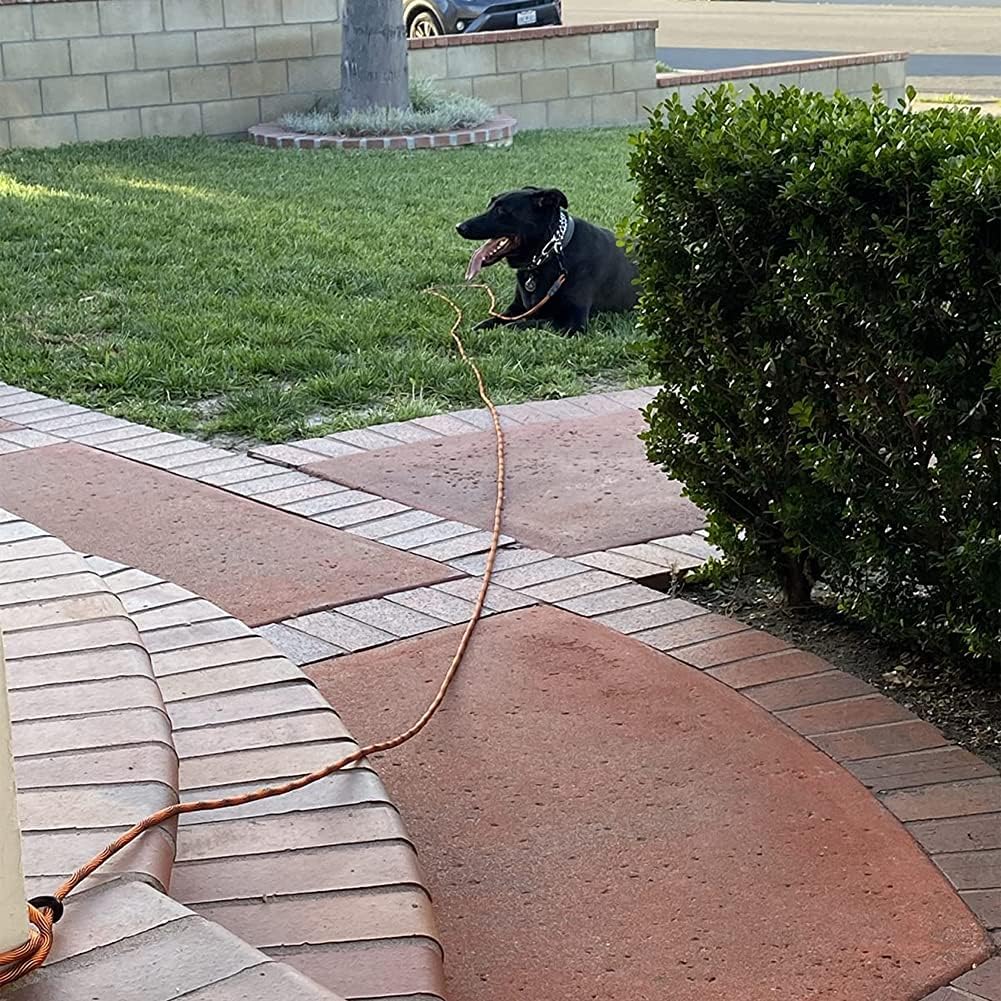 BTINESFUL high visibility orange and black training leash overview