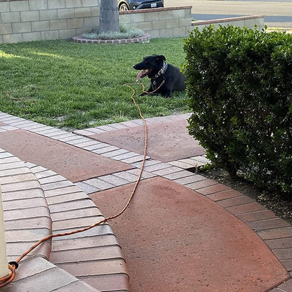BTINESFUL high visibility orange and black training leash overview