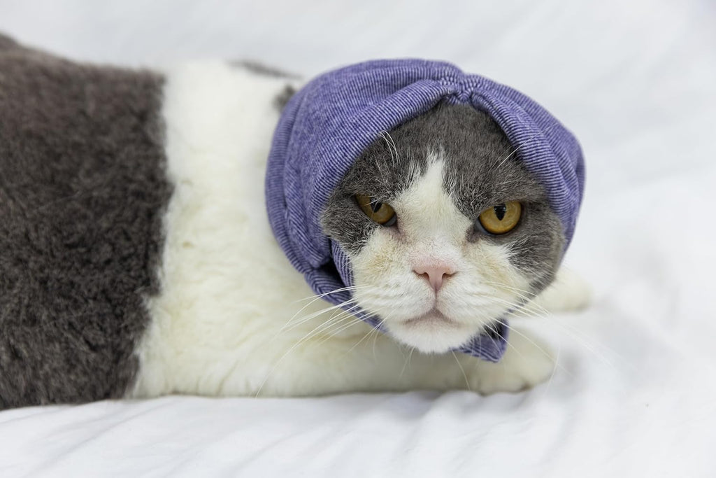 Elastic cat ear cover for noise reduction