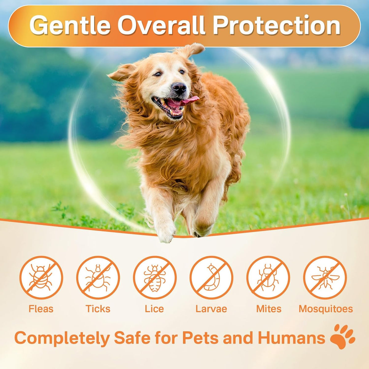 Puyrzoe daily dog chewable containing glucosamine for joint health