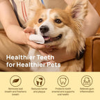 Dental finger wipes for dogs and cats open container
