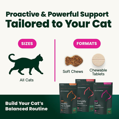 VetriScience premium skin and coat health supplement for cats back view