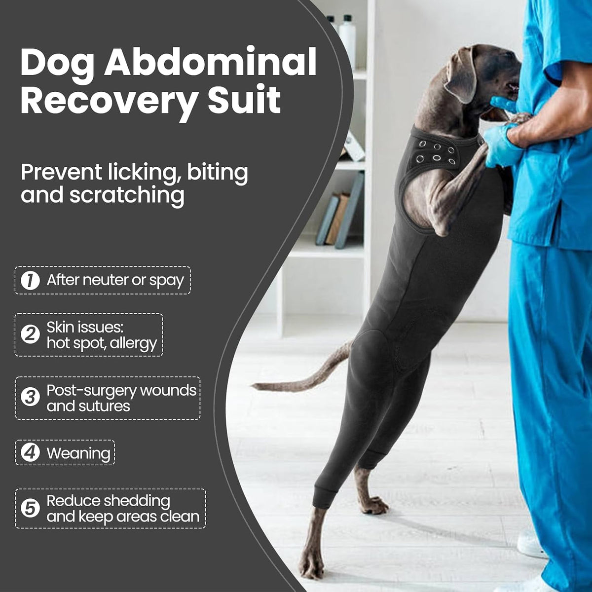 Nanaki dog recovery suit with rear leg sleeves for wound protection